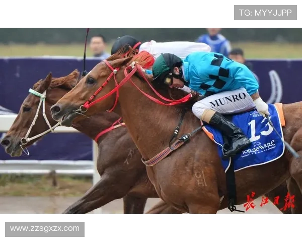 武汉乒乓球队在精英赛中的速度表现分析与点评